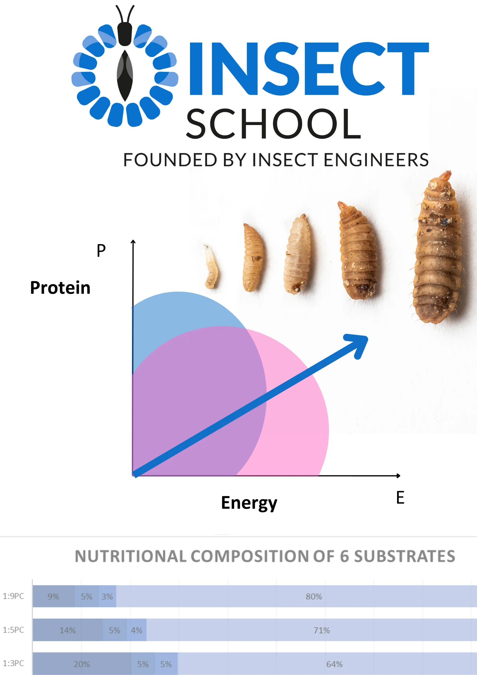 Protein and Carbohydrate Ratio for Black Soldier Fly