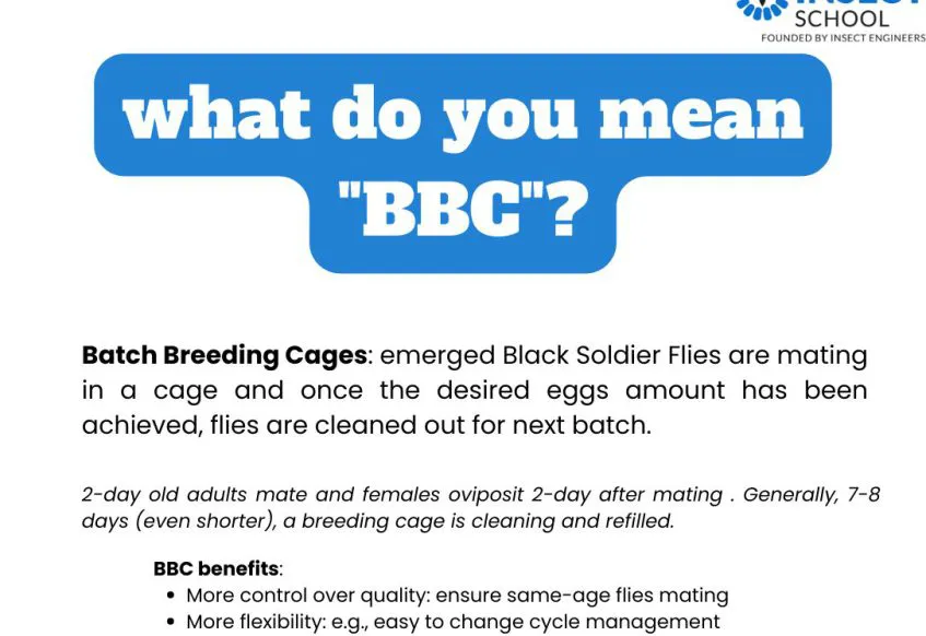 What does shop bbc mean