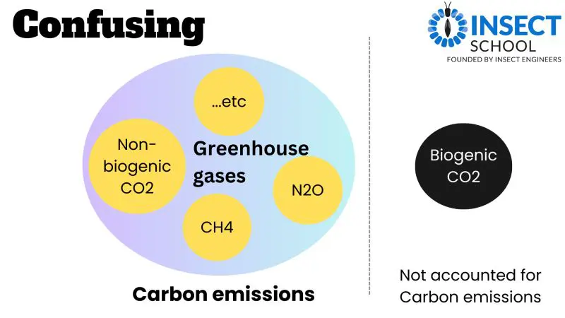 GHG, CO2e, Carbon emissions: what do all these terms mean? - Insect School