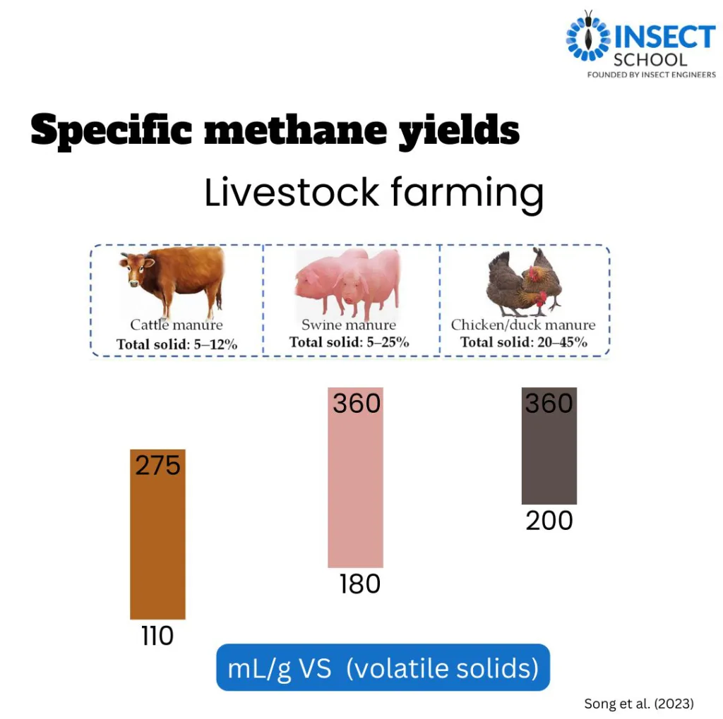 Bio-Methane Potential of Insect Frass