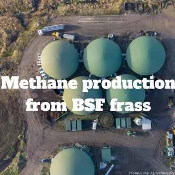 Bio-Methane Potential of Insect Frass