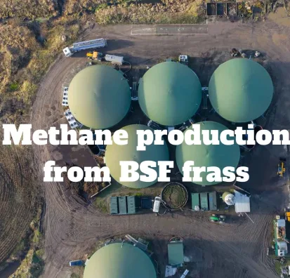 Bio-Methane Potential of Insect Frass