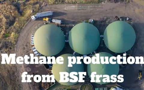 Bio-Methane Potential of Insect Frass