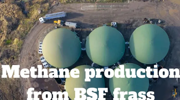 Bio-Methane Potential of Insect Frass