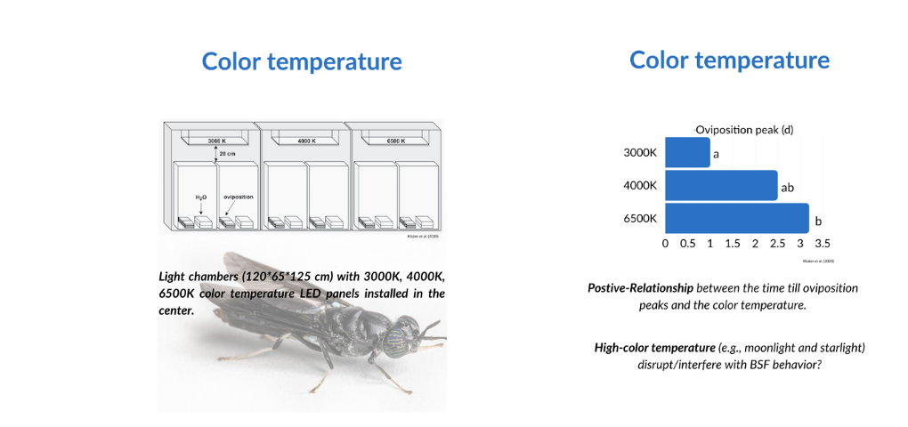 light color temperature