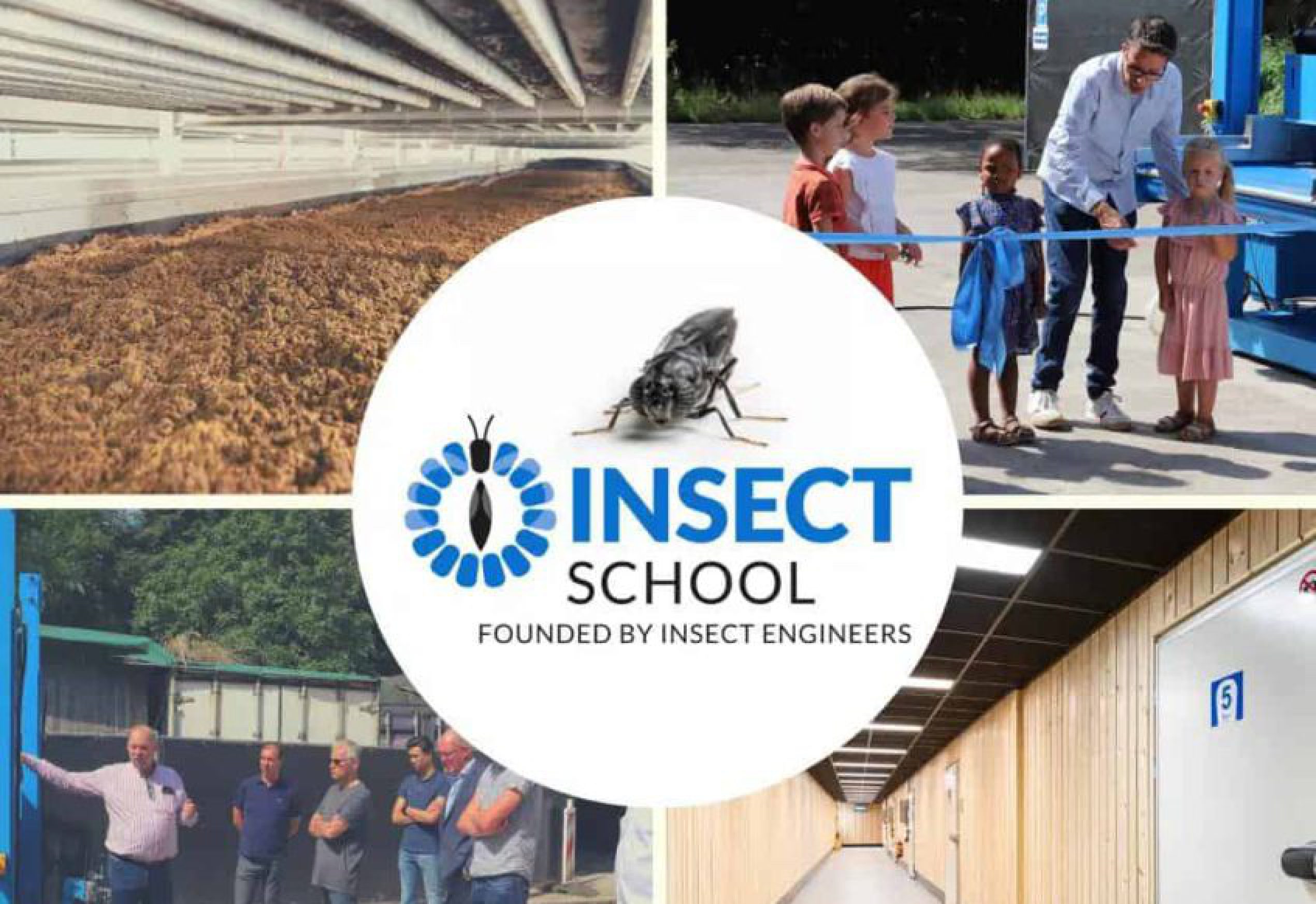 BSF Trial Insect School: How to Get Started - Insect School